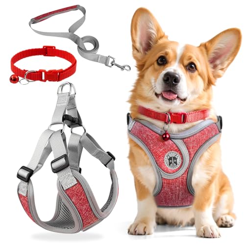3 Stück Hundegeschirr und Leine Set, Verstellbares Brustgeschirr, Reflektierendes atmungsaktives Hundegeschirr mit D-Ring, Hundegeschirrs Set für Welpen, Kleine Hunde
