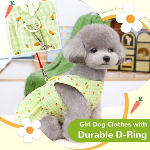 XGDMEIL Lindo vestido floral para cães pequenos com anel em D xadrez princesa menina arnês vestido p