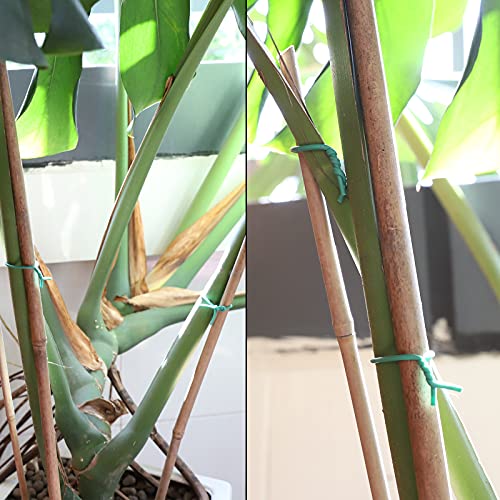 Ydsl 100 Feet Soft Tie For Plants, Green Twist Garden Ties Gardening Supplies For Supporting Climbing Plants, Tomatoes, Vegetables, (Diameter - 2.5Mm) #TOP7