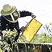 KINGLAKE Steel J Hook Bee Hive Tool Frame Lifter and Scraper,Beekeeping Equipment, 10-1/2-Inch