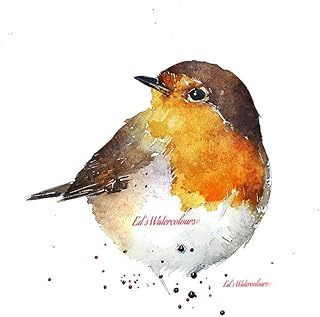 Red Breasted Robin - Print Watercolour, Robin art, Robin print, Red Breasted Robin art print, Red Breasted Robin Wall décor,Bird Art,Bird Watercolour Print