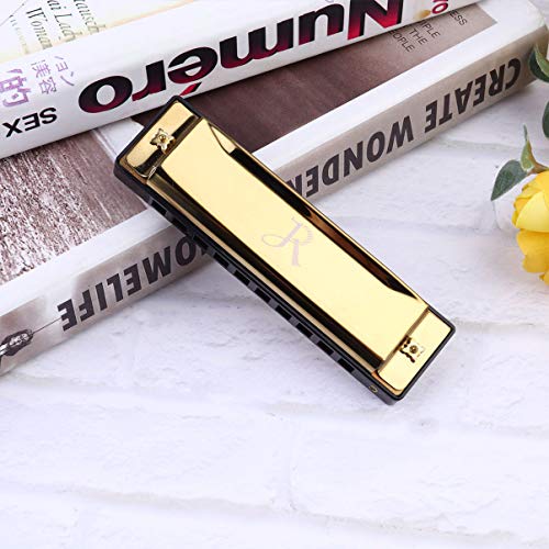 FARUTA Harmonica professionnel 10 trous Blues Harmonica bouche Orgue pour débutants adultes enfants Cadeau noir (couleur… - Les Beatles, Paul McCartney, John Lennon, RIngo Starr, George Harrison FARUTA Harmonica professionnel 10 trous Blues Harmonica bouche Orgue pour débutants adultes enfants Cadeau noir (couleur… – Image 8