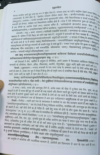 Image of Susruta Samhita Sanskrit Text with Hindi Translation (in 2 Volumes) with 5 pics. of Radius Pen