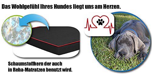 FORTISLINE Hundematte Hundebett OAHU Plus 2 Größen 4 Farben (XL - 120x80x8cm, Braun)