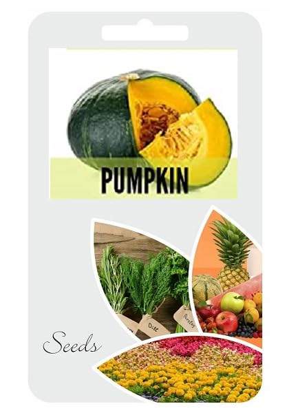 Hybrid F1 Kaddu/Pumpkin Seeds For Planting-(100 Seeds)