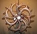 Real Whitetail Deer Antler Chandelier, 4 Lights, SHED Antler Art, ELK Covered SOCKETS Handmade 23
