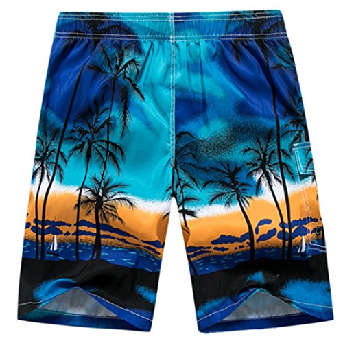 Men's Summer Holiday Beach Shorts Swimming Trunks Surfing Boardshorts2