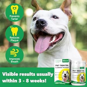   Teeth-Cleaning-Powder-for-Dogs-Dog-Breath-Freshener-Dental-Powder-for-Dogs-Teeth-with-Probiotics-Help-Reduce-Bad-Breath-Plaque-Tartar-Remover-Dog-Tooth-Powder-for-Small-Medium-Large-Dogs-50g