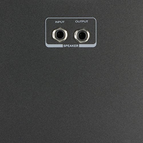 LD Systems Roadman 102 Passiver Slave-Lautsprecher