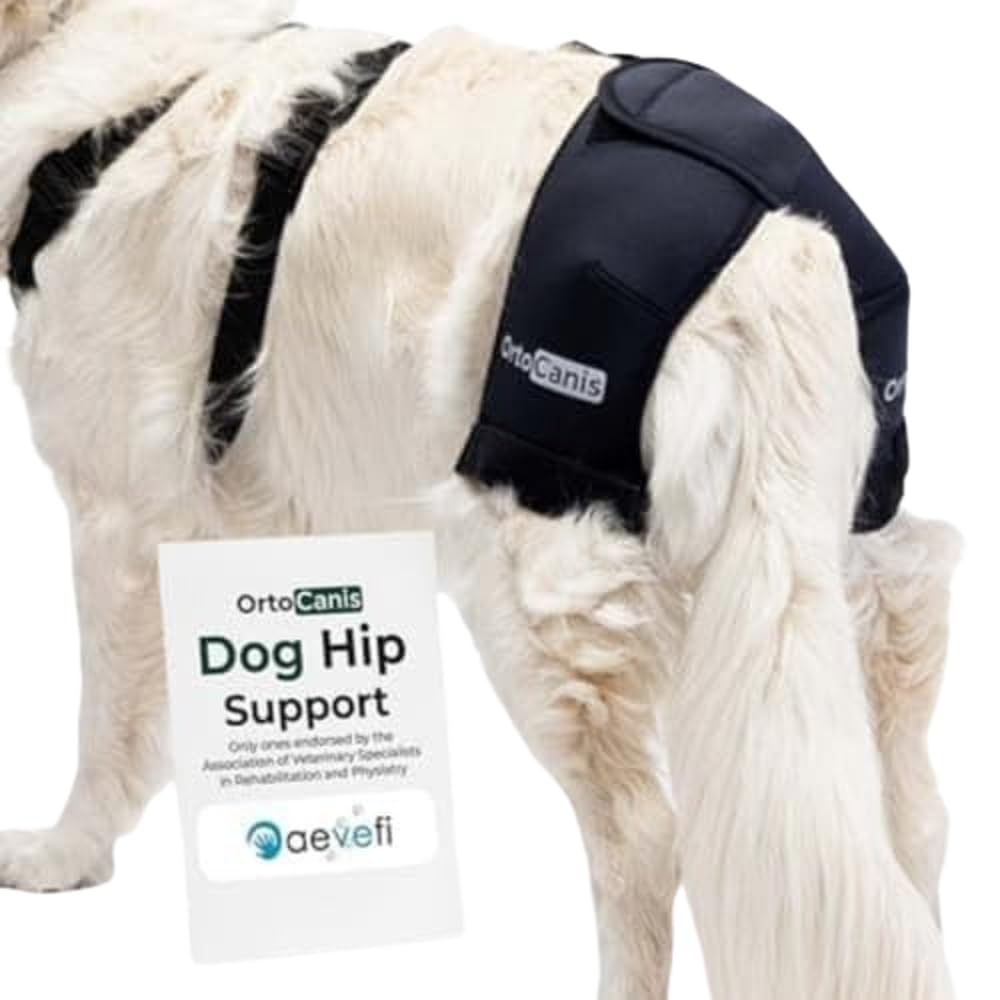 Photo 1 of Ortocanis Dog Hip Support Brace - Medium