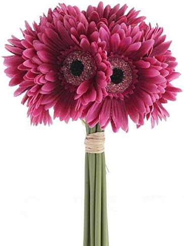 Factory Direct Craft 6 Stemmed Artificial Colorful Gerbera Daisy Bouquet for Centerpieces, Designing and Displaying (Magenta)