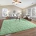 Pettop Fluffy Sage Green Area Rug for Bedroom Living Room, 3x5 Feet Soft Plush Fuzzy Rugs for Girls Kids Boys, Non-Slip and Washable Rug for Nursery Classroom, Carpet for Rooms Decor