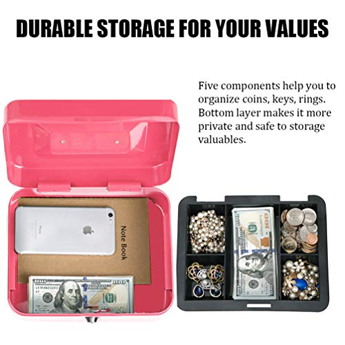 Cash Box with Money Tray, Parrency Large Money Box with Key Lock, 9.8 x 7.9 x 3.5 inches, Pink