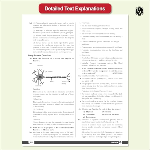 Image of PW CBSE Class 10 NCERT Exemplar Problems Mathematics and Science with Text & Video Solutions | Chapterwise Mind Maps | PYQ Tagging | Rationalised NCERT Syllabus [Paperback] PW