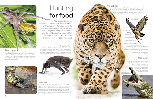 Eyewitness The Amazon (DK Eyewitness) - Image 5