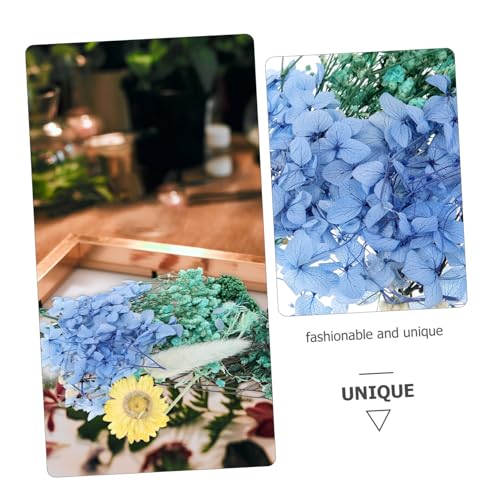 Kit de Flores Secas Naturales para Manualidades miniatura 7