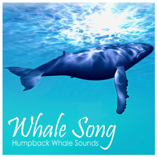 Humpback Whale Sounds