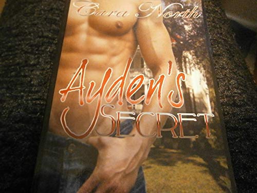 Ayden's Secret view 2