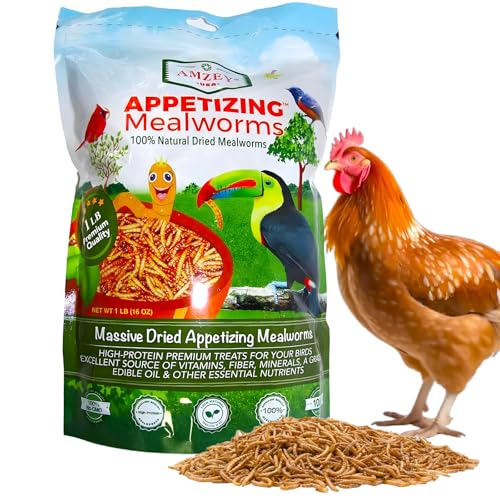 Amzey Dried Mealworms 1 LB, 100% Natural Meal Worms for Chicken & Birds, Organic Chicken Feed for...