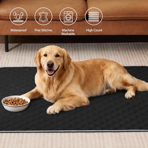 Image of Eterish Reusable Washable Pee Pads for Dogs Large /Extra Large 36'' x 41'' 2 Pack, Absorbent Pet Puppy Dog Training Pads Non-Slip, Waterproof Whelping Potty Pads for Dogs Leak-Proof
