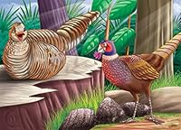 THE PANCHTANTRA TALES, NULL 9385388002 Book Cover