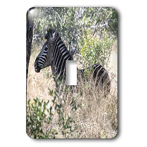 3dRose LLC lsp_20131_1 South African Zebra In The Grass Single Toggle Switch