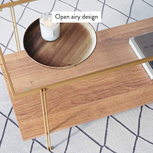Nathan James Enloe Modern Storage, Free Standing Accent Cabinet, White/Gold & Asher Mid-Century Rectangle Coffee Table Glass Top And Wood Finish Storage Shelf With Metal Legs, Gold #TOP6