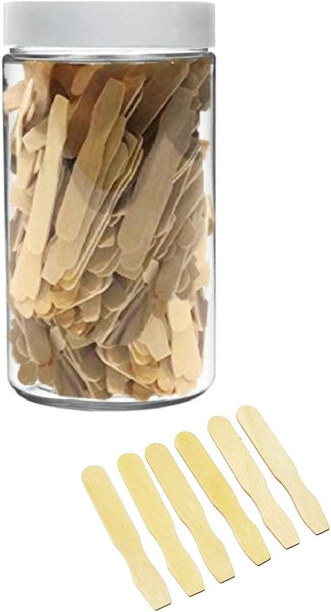 Red Blue Charley Small Wooden Cosmetic Spatulas (500 pk) with Container