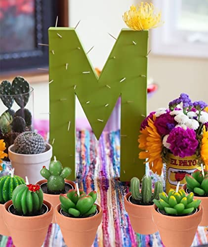 Succulent Candles, Novelty Cactus Tealight Candle Baby Shower Candle Decorations For Party Favors Terrarium Cacti Candels Home Decor… #TOP5