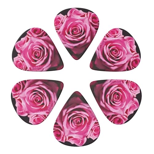 M^[sbN 6pbN GKgȃ[Yt[ t[vg M^[sbNz_[ p[\iCYꂽM^[sbN AR[XeBbNM^[ oCI EN x[X