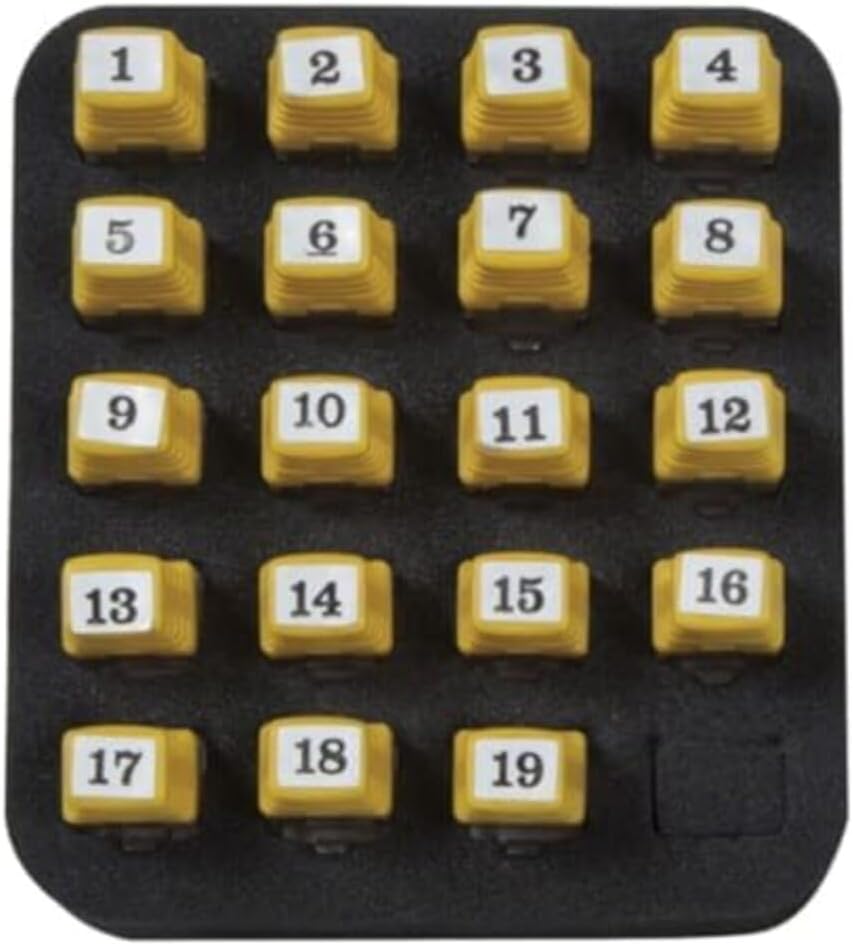 Klein Tools Replacement Carrying Case for Scout Pro Testers and Locator Remotes, Black