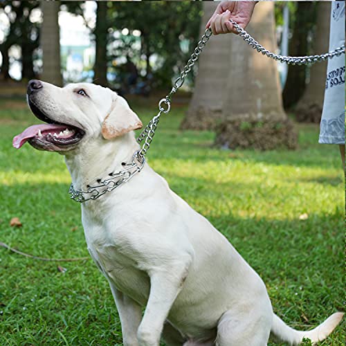 Pettom Dog Prong Collar Dog Choker Pinch Collar No Pull With Comfort Rubber Tips Silver Plating Adjustable Link Chain For Medium Large Dogs Pitbull(M 22.8 Inch) #TOP7