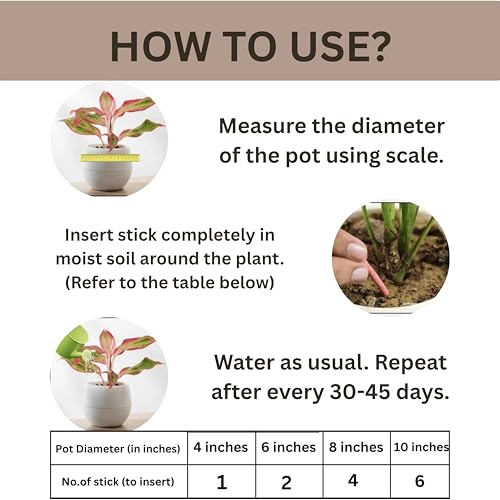 Image of 100% Natural Fertilizer Sticks, Magic Stick Plant Food for Indoor & Outdoor Plants, natural fertilizer for Home Garden Plants | Plant Growth Booster Healthy (100pcs-plant stick)