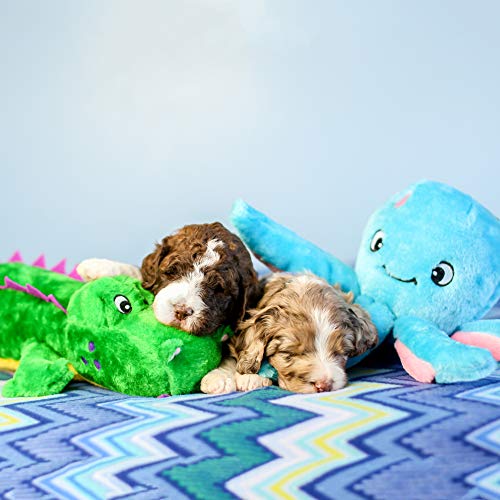 ZippyPaws - Brinquedo de cachorro grande Grunterz Grunterz - Oscar The Poltopus