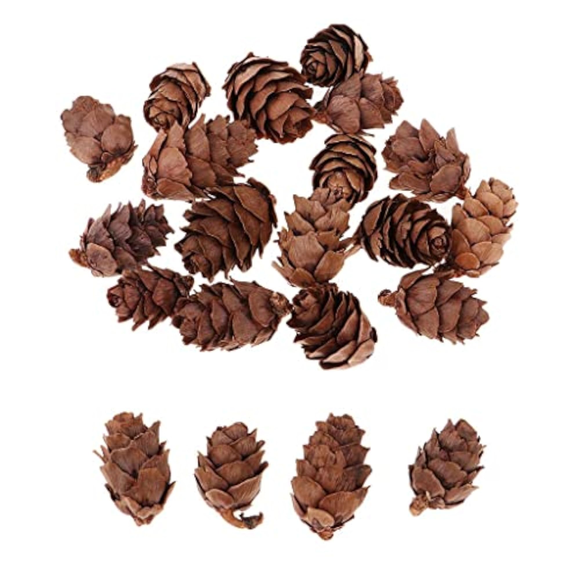 Mini Decorative Pinecone Pine Cones, 50pcs