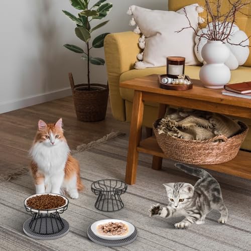 Otauoaea 2 Stück Katzennapf Erhöht, Erhöhter Futternapf Katze, Fressnapf Katze Flach, Cat Bowl mit Metallständer & rutschfeste Silikonmatte, Linderung von Schnurrhaarermüdung (A-Schwarz)