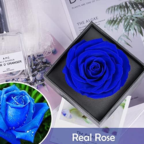 SWEETIME Preserved Real Rose Gift Box,Eternal Single Blue Rose in a Box with Rose Brooch,Forever Everlasting Rose Flower for Mum Women and Wife on Mother's Day Anniversary Valentine's Day.