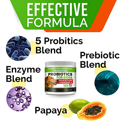 Dog Probiotics Treats For Picky Eaters - Digestive Enzymes + Prebiotics - Chewable Fiber Supplement - Allergy, Diarrhea, Gas, Constipation, Upset Stomach Relief - Improve Digestion, Immunity #TOP2