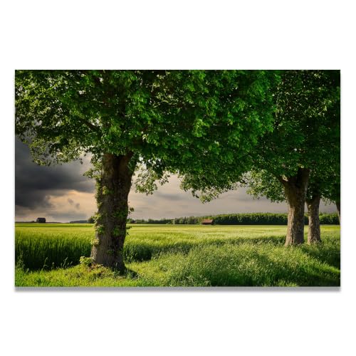 Decoración moderna de salón con el canvas de paisaje de montañas y árbol de 30x45cm