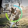 Smart Pet Tracker and Activity Tracking