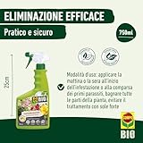 Zoom IMG-2 compo bio colza power pronto Zoom IMG-2 compo bio colza power pronto