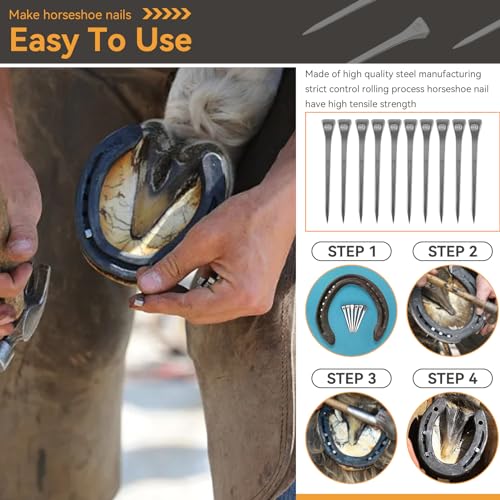 Image of 250Pcs 2.1inch E6 Horseshoe Nails, Steel Horse Shoe Nails Horse Hoof Nails Horseshoe Tools for Horse Training Equestrian Sports