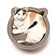 Necoichi cat-Headed Kratzbaum Bett, Regular