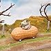 Mcphee Archie Possum in a Peanut Pull Back Toy Car (12967)