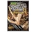 Primos Truth 24 43241 Big Bucks DVD Loose