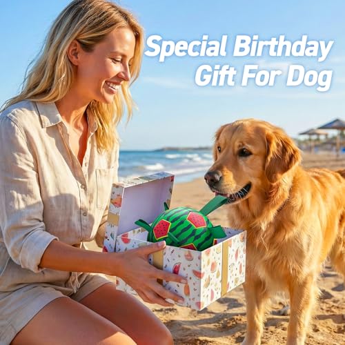 Image of QDAN Dog Water Toys, Pool Toys for Dogs Swimming Beach Fun, Watermelon Ball for Summer Outdoor Games (7 inch)