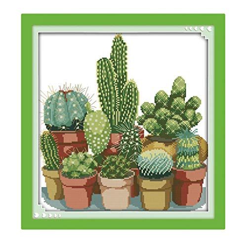 Kit de broderie au point de croix pré-imprimé cactus Tityvirnix 14CT