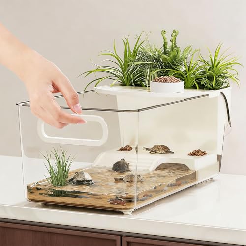 Réservoir d'observation pour tortues avec profondeur réglable - 7