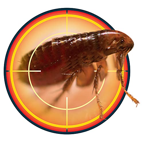 NOPE! CP Flea Spray (5 Litre) for The Home – Fast-Acting, Odourless & Non-Staining, Extended Residual Action up to 3 Months. Indoor & Outdoor Flea Killer