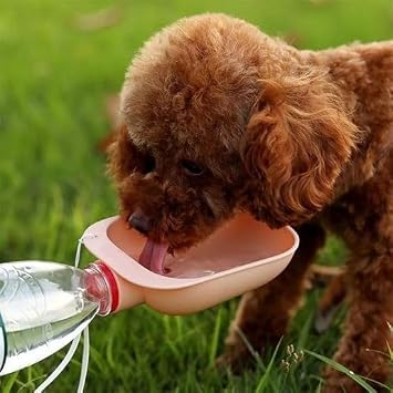 Pet Plastic Washable Portable Water Bottle Connected Water Container